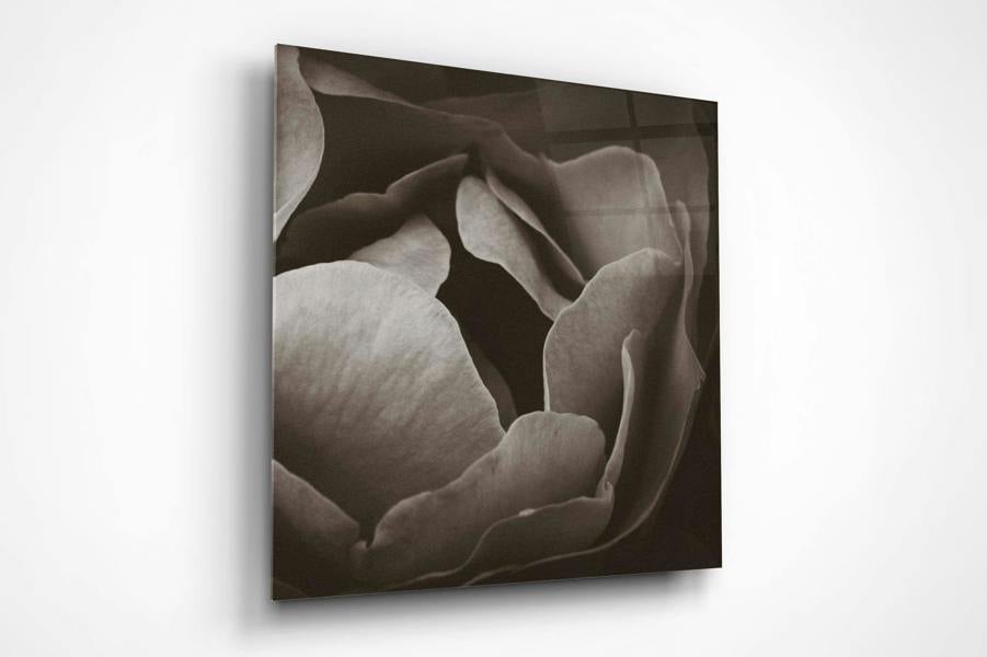 Fernlight Gallery Velvet Petals
