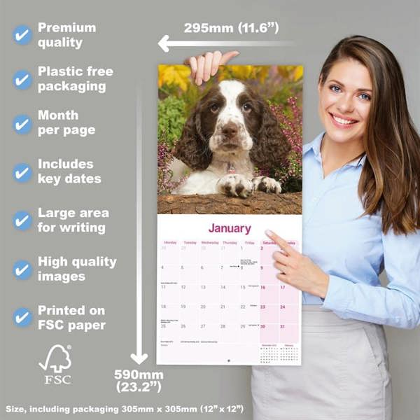 English Springer Spaniel Calendar 2027, Wall Calendars, Month To View, Dogs, Gift