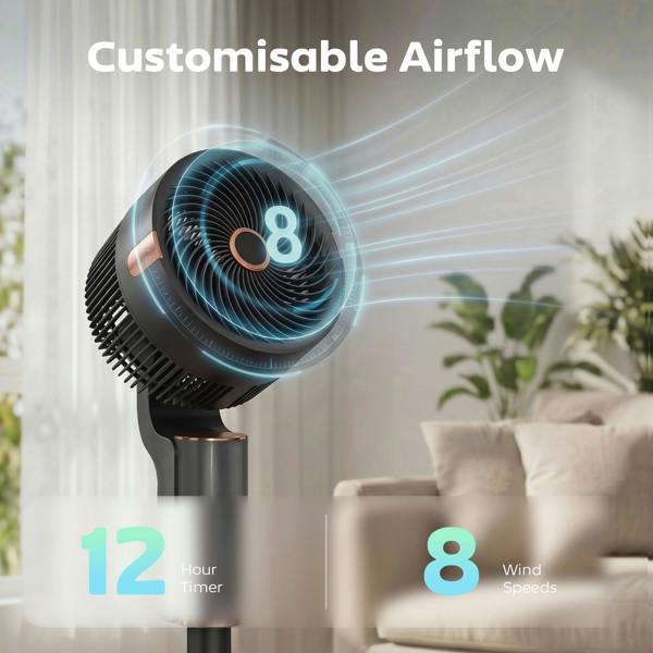 Air Circulator Fan