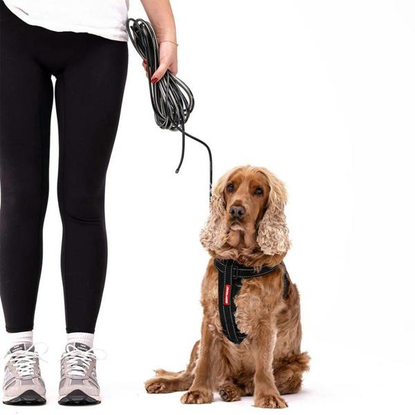 EzyDog Track 'N' Train Slimline Long Line Dog Lead in Red
