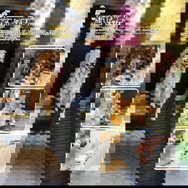 D06-153V00BK