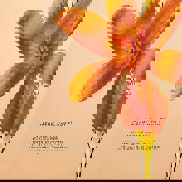 L'Anza Keratin Healing Oil Shampoo 950ml