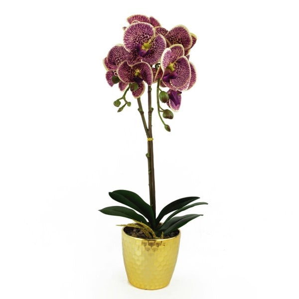 Leaf 50cm Phalaenopsis Orchid Artificial - Purple Leopard - Gold Pot