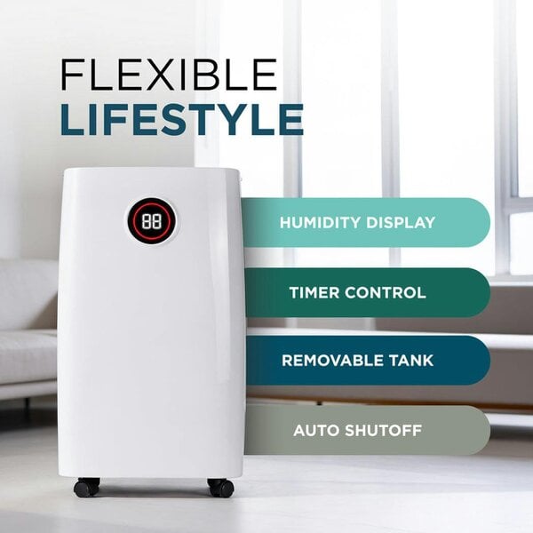 DMD Collective Compressor Dehumidifier