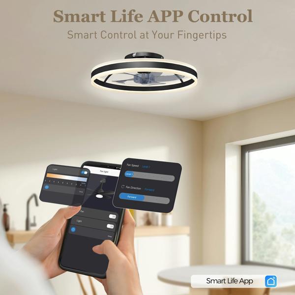 Ceiling Fan With Light