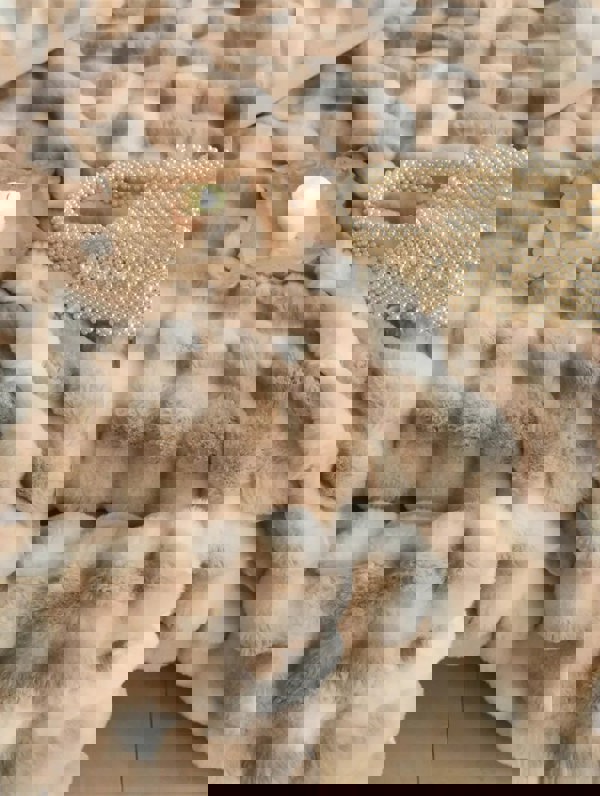 goodgoodhome Anycozy Blanket Brown Tuscan Imitation Thick Fur Winter Luxury Warmth Super Comfortable for Beds and Sofa 160x200cm