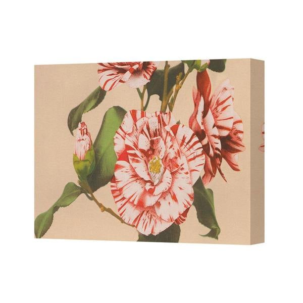 Benjamin Tate Design Canvas Wall Art Floral Bouquet Print Red Pink Flowers