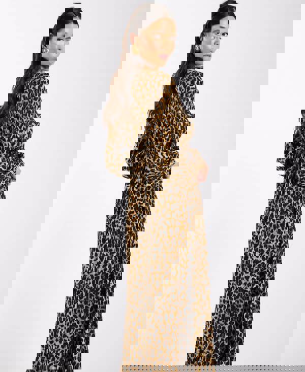 Brown Animal Printed Long Sleeve Midi Dress side