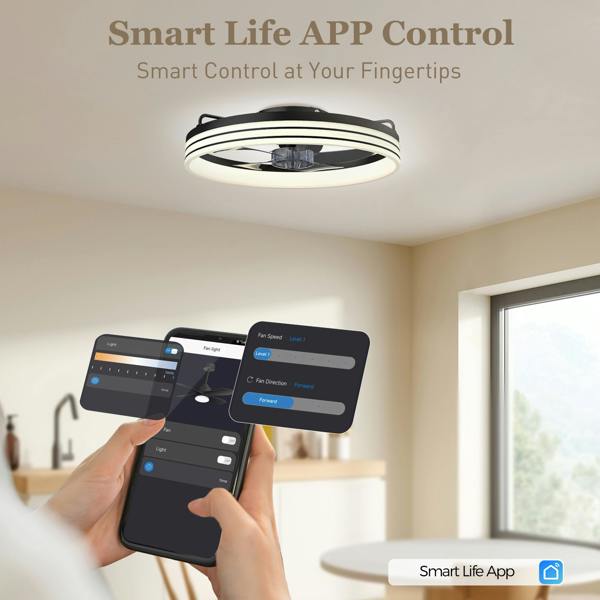 Ceiling Fan With Light