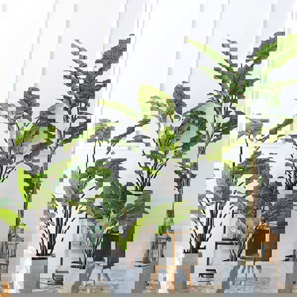 TU19 Artificial Plant-Weilai Concept-Weilai Concept