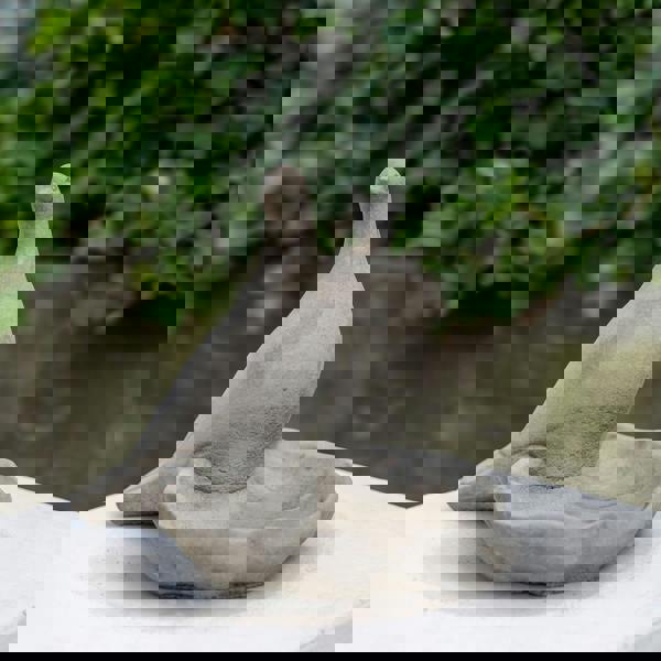 Floor level Birdbath with Perching Pigeon / Bird feeder