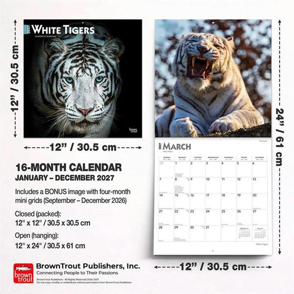 White Tigers Calendar 2027, Wall Calendars, Month To View, Animals, Gift