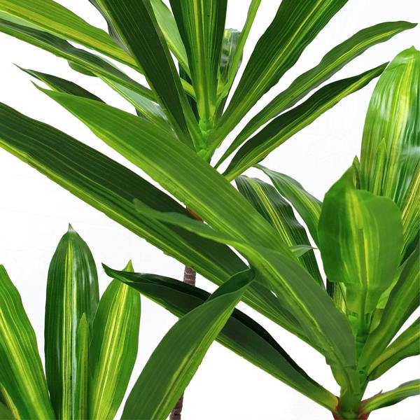 Artificial Dracaena Fragrans Dragon Tree – 100cm of Lush Elegance - Evergreenery