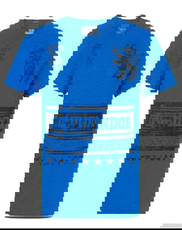 Harry Potter Boys Blue Short Sleeved T-Shirt