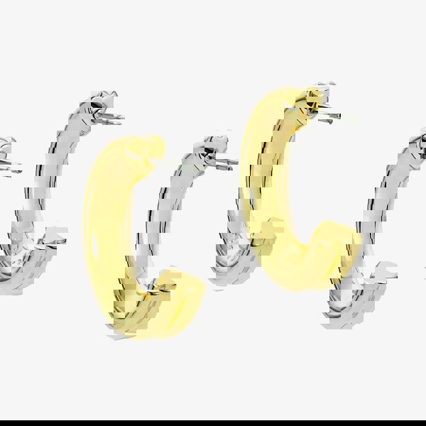 Ted Baker Hilya Gold Tone Half Hoop Earrings TBJ4055-02-03