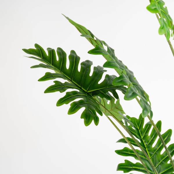 Scottish Everlastings 175cm Real Touch Philodendron Tree