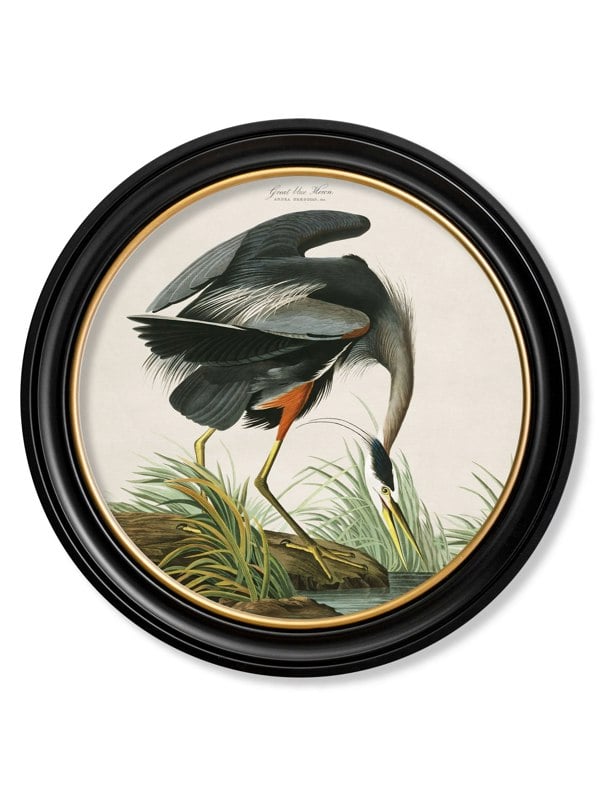 Exceptional Art c.1838 Audubon's Great Blue Heron
