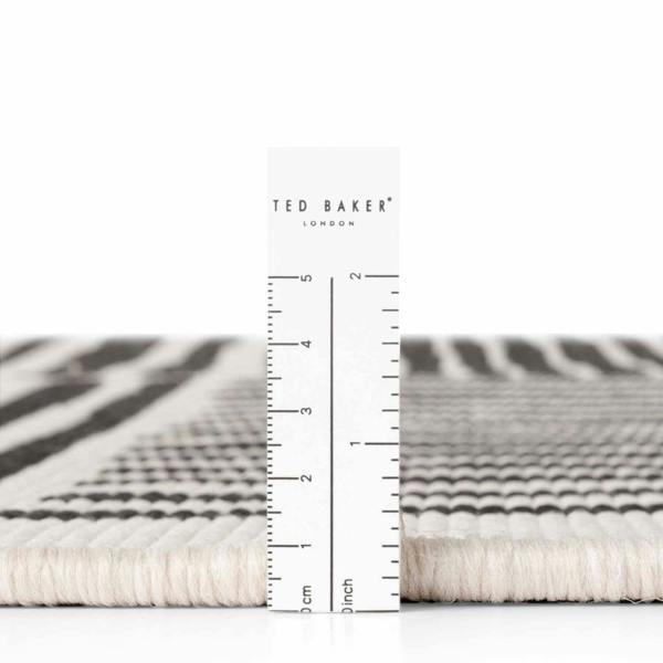 Rug with zebra pattern measurement scale and 'Ted Baker' branding