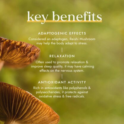 Fushi Wellbeing Organic Reishi Mushroom