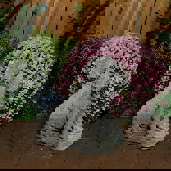 Large Schnauzer Stone Dog garden ornament 