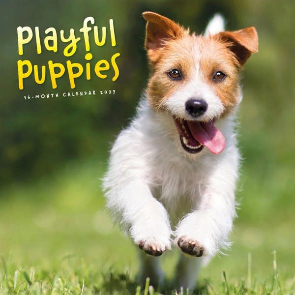 Playful Puppies Calendar 2027, Wall Calendars, Month To View, Dogs, Gift