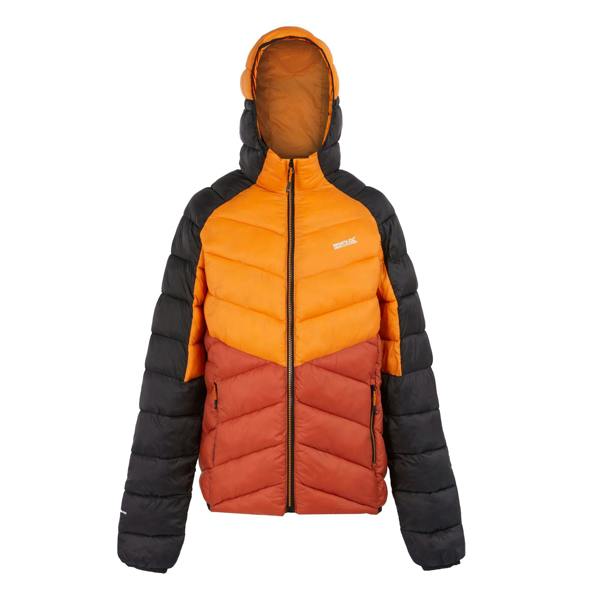 Regatta Mens Dalent Hooded Insulated Jacket - Fox/Red Ochre