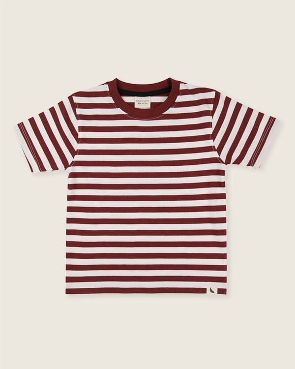 Organic cotton Multicolour Stripe And Plain T-Shirt - 2 Pack - image 3