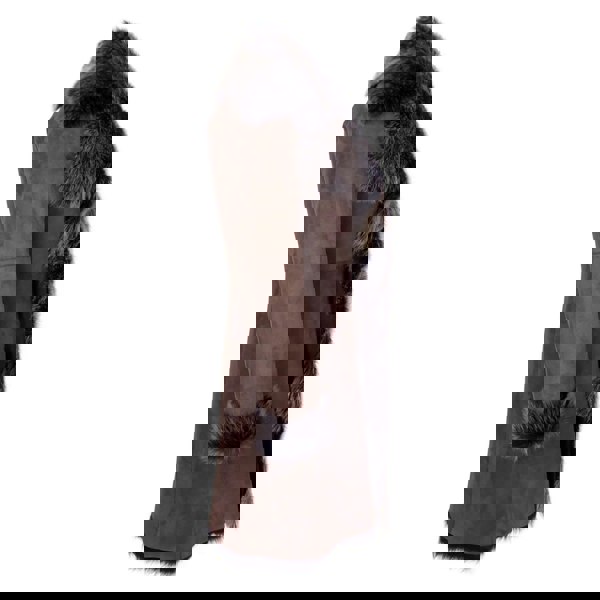 3/4_jacket_Brown-Gold_2XL - 18, 3/4_jacket_Brown-Gold_3XL - 20, 3/4_jacket_Brown-Gold_L - 14, 3/4_jacket_Brown-Gold_M - 12, 3/4_jacket_Brown-Gold_S - 10, 3/4_jacket_Brown-Gold_XL - 16, 3/4_jacket_Brown-Gold_XS - 8