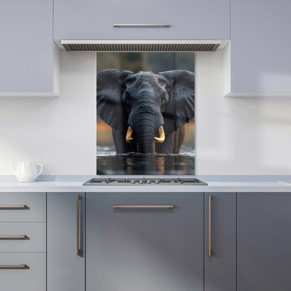 Warren Reed Elephant Glass Kitchen Splashback - 00009