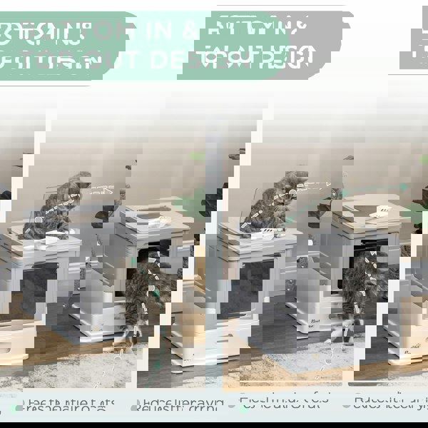 D31-061V00GY