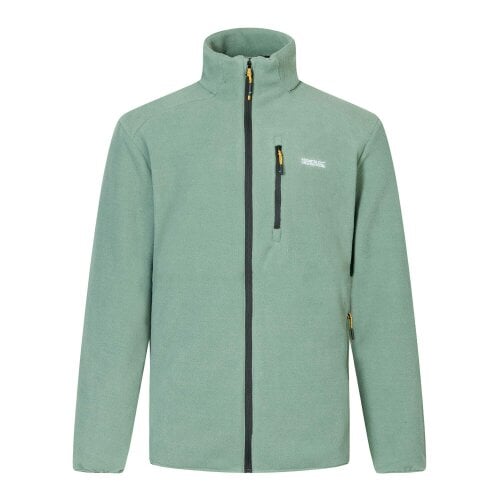 Regatta Mens Brinnden Full Zip Fleece - Dark Forest Green