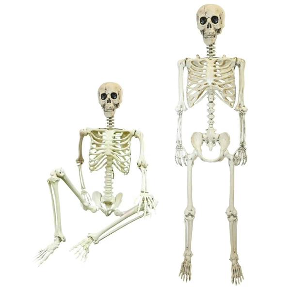 Halloween Life Size Poseable Skeleton Prop 165cm - Realistic Human Skeleton Decoration image 1