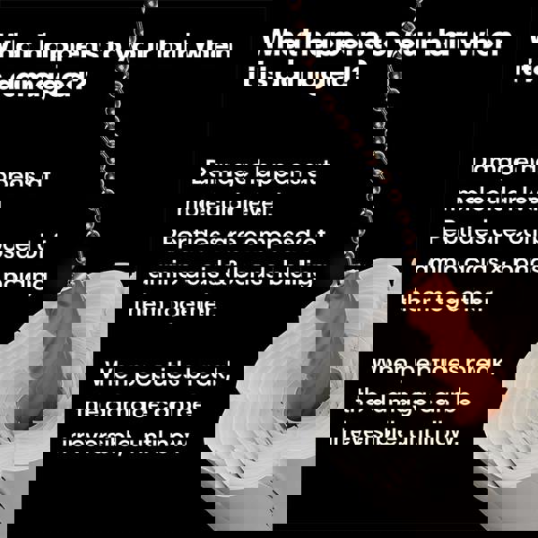 L'Oréal Professionnel&nbsp; Absolut Repair Molecular Mask