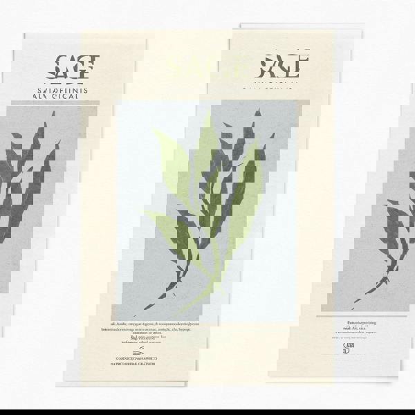 Reign&Hail Sage - Herb Print