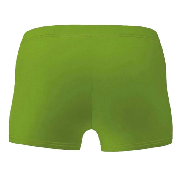 Arena Boys Swim Shorts - Soft Green - 