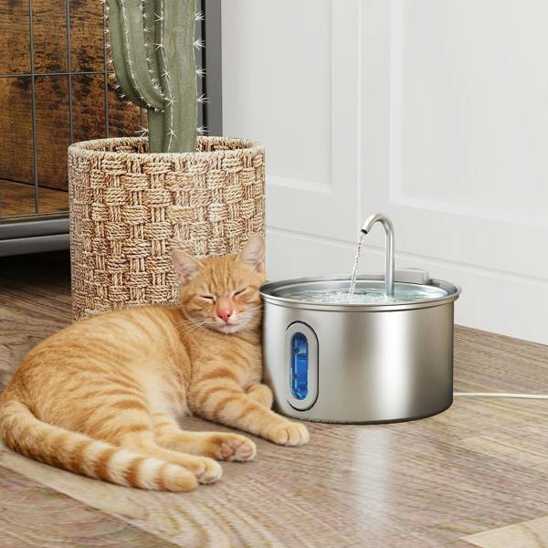 Pet Water Fountain