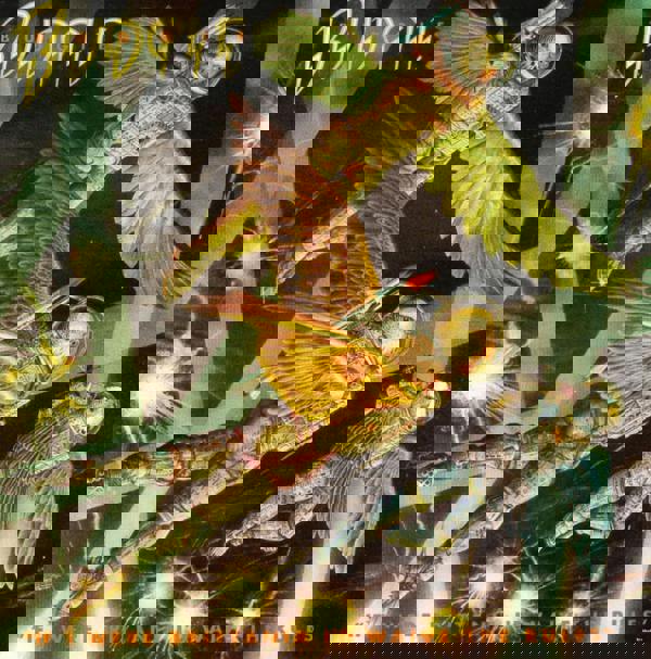 Budgie 'If I Were Britannia, I'd Waive The Rules' LP Black Vinyl