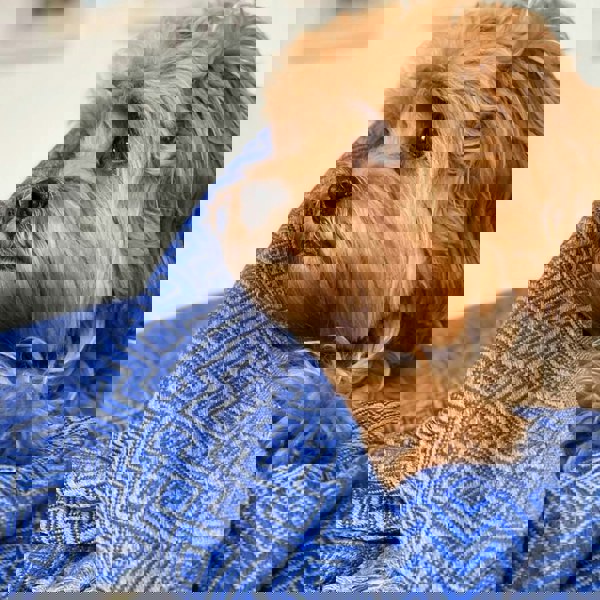 Cotton Throw