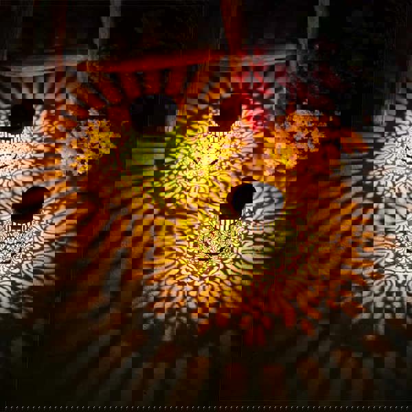 Leaper Solar-Powered Waterproof Mandala Pattern Sensor Wall Light