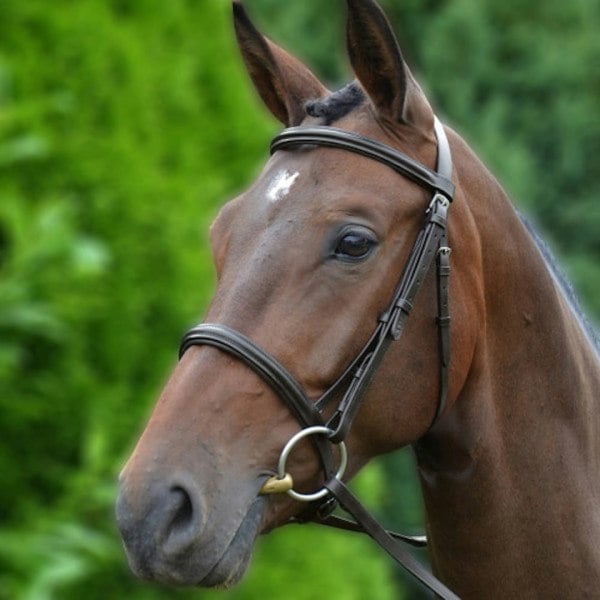 Hy Padded Cavesson Bridle with Rubber Grip Reins - Brown