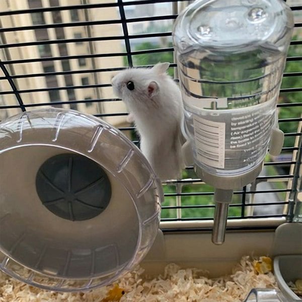 Crystal View Hamster Cage with Silent Exercise Wheel & Accessories Living and Home