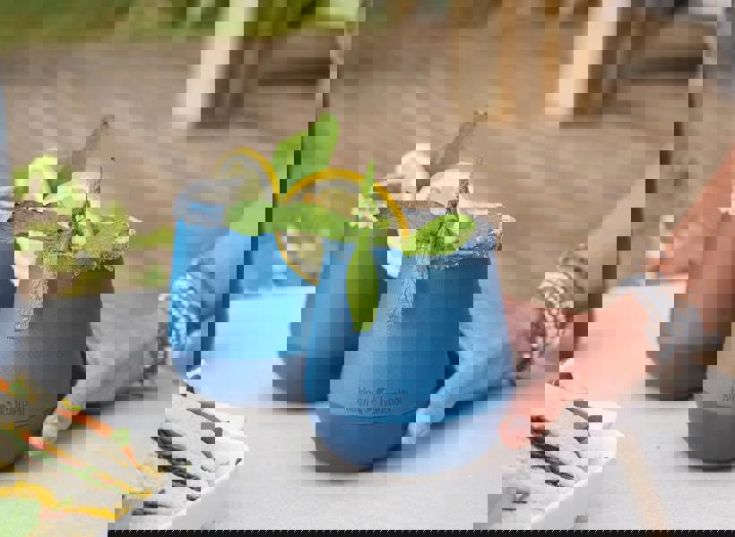 Klean Kanteen 280ml Rise Wine Tumbler