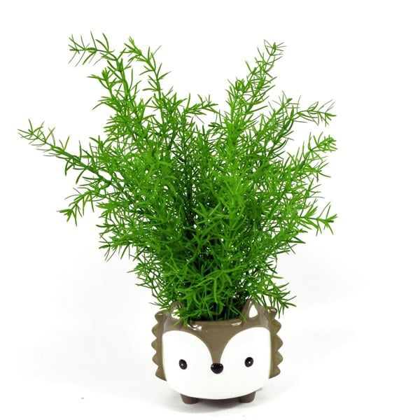 Leaf 45cm Artificial Asparagus Fern Plant