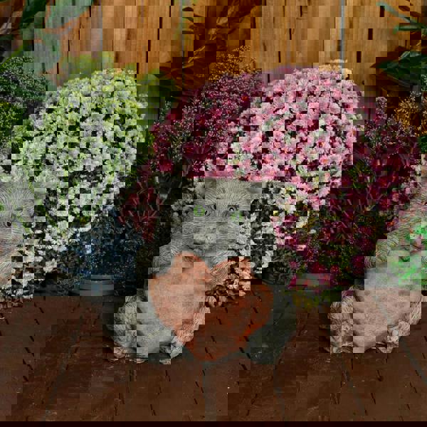 Cat with a Big Heart Stone Cast Garden Cat Ornament