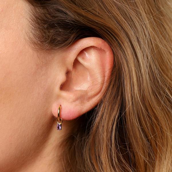 Gold Trip February Huggie Hoop Birthstone Charm Earrings
