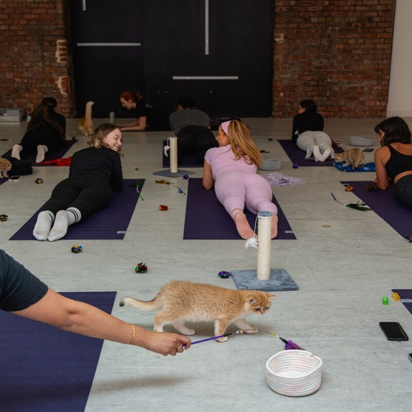 Virgin Experience Days London Kitty Yoga Session with Play Time for Two