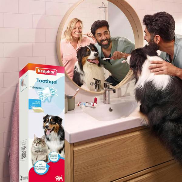 Beaphar Tooth Gel for Dogs & Cats 100g