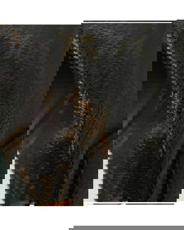 193974167.jpg
