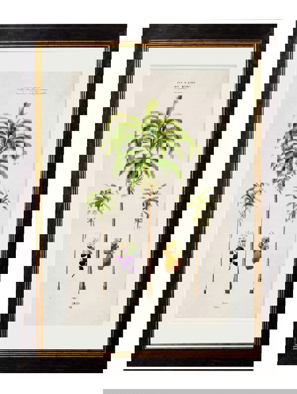 Exceptional Art c.1843 Studies of South American Palm Trees