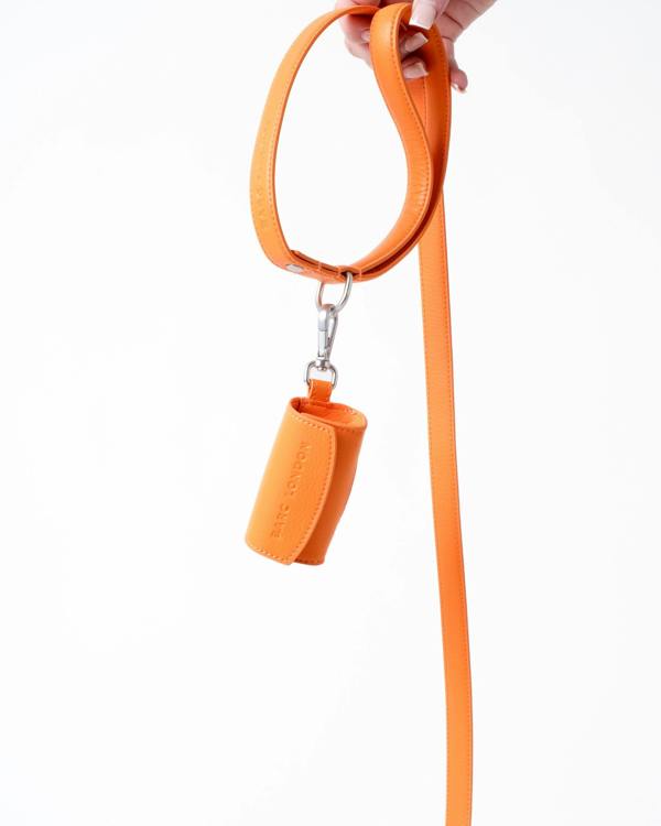 Barc London Mandarin Orange Dog Collar & Lead Set